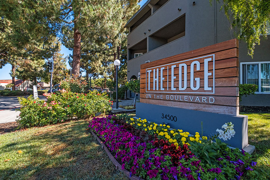 The Edge on the Boulevard photo 5